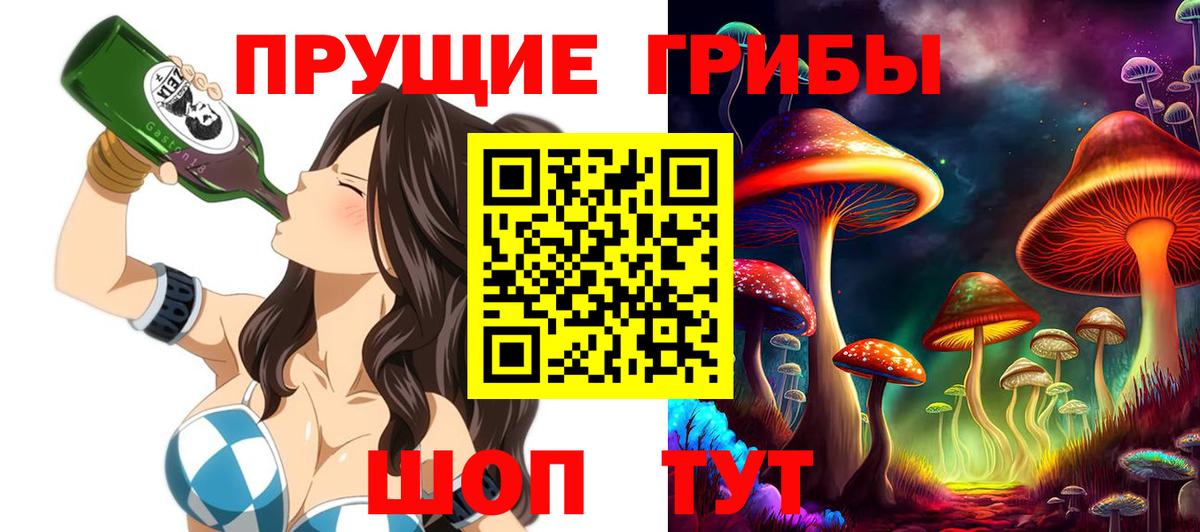 Псилоцибиновые грибы мицелий  Вход с VPN  цены   Реж  Псилоцибиновые грибы Psilocybine cubensis 